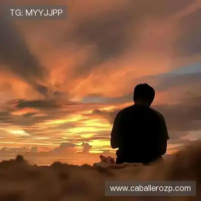 孔晏营 孔晏营